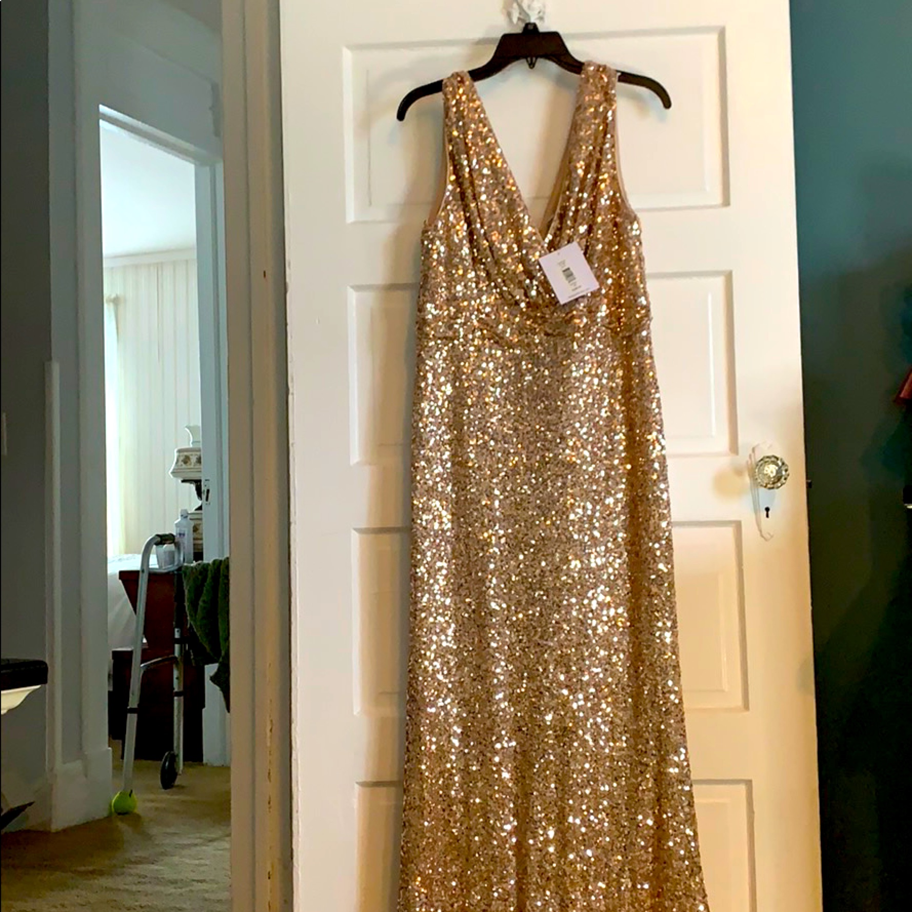 Belle Badgley Mischka Blush Dress